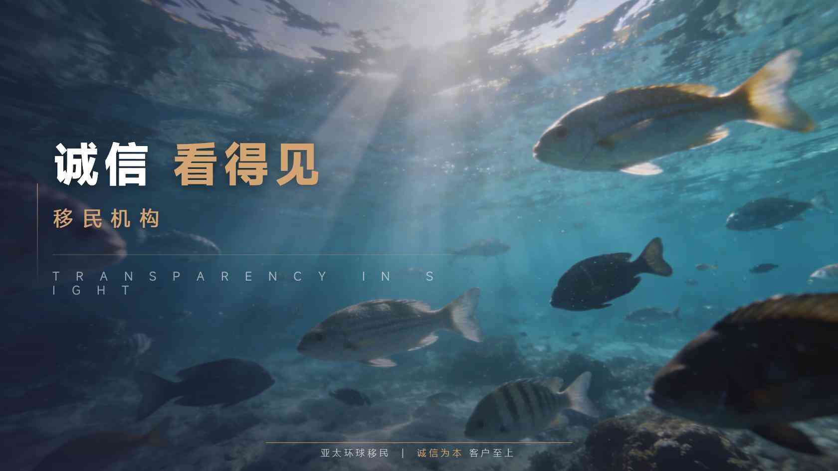 香港优才项目