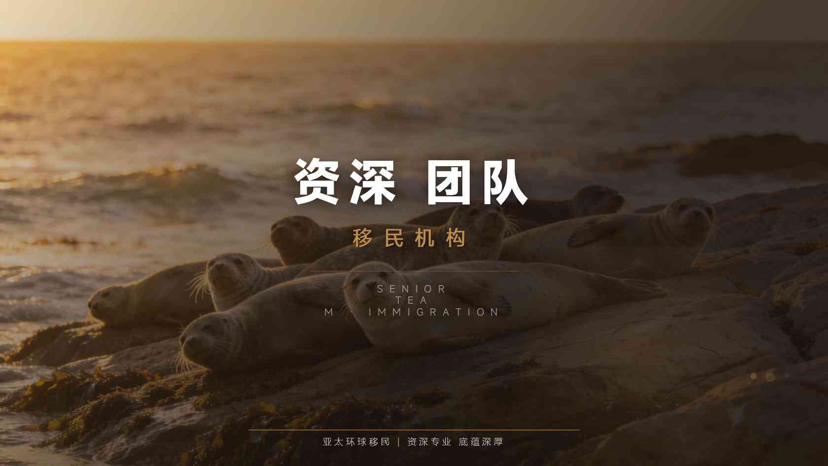 多米尼克移民办理最新流程详解