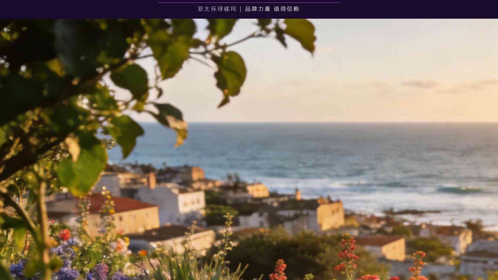 安3已用.webp