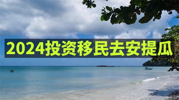 安提瓜投资移民后，如何保障投资收益的合法汇回国内？