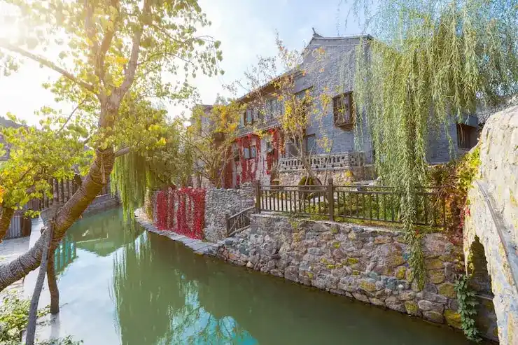 未成年人能否单独作为多米尼克移民的主申请人？