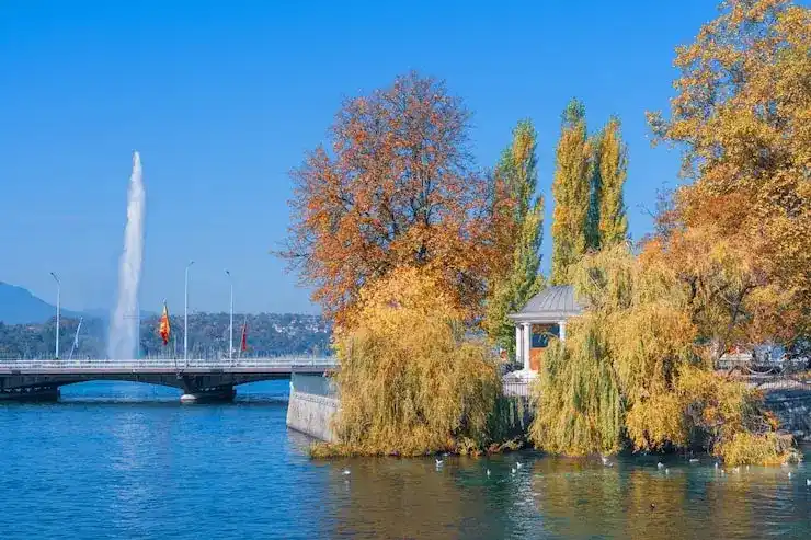 德国永久居留身份有有效期吗？是否需要定期更新？