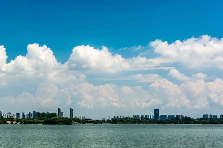 移民的