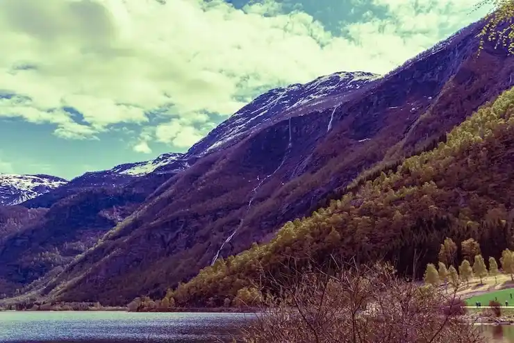 离岸金融中心？多米尼克经商便利多多