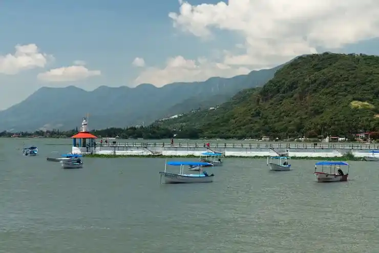 2025年移民人数预测模型分析