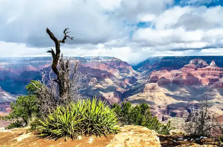 马绍尔移民可随行的家属范围包括哪些？