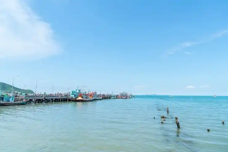 保加利亚移民