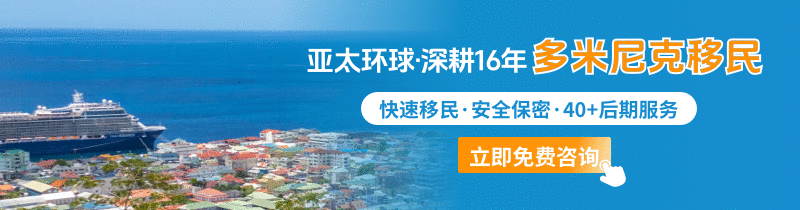 多米尼克-动态