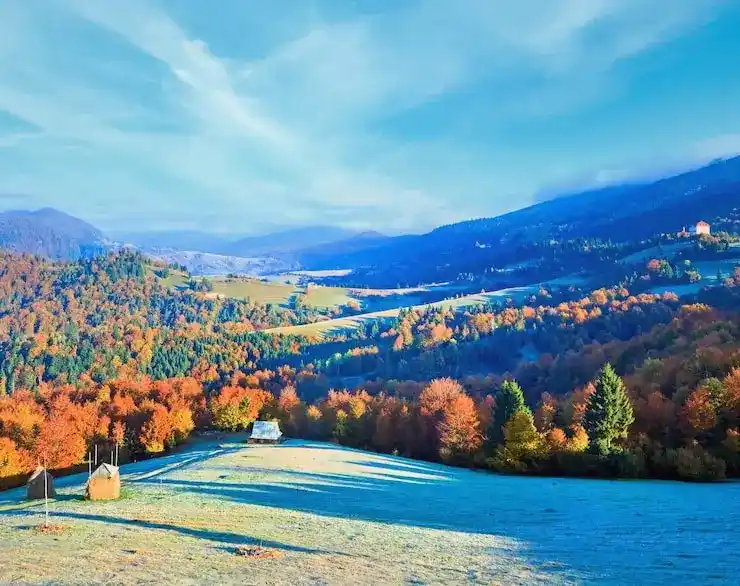 成年残疾子女随行申请多米尼克移民需要提供什么证明文件？