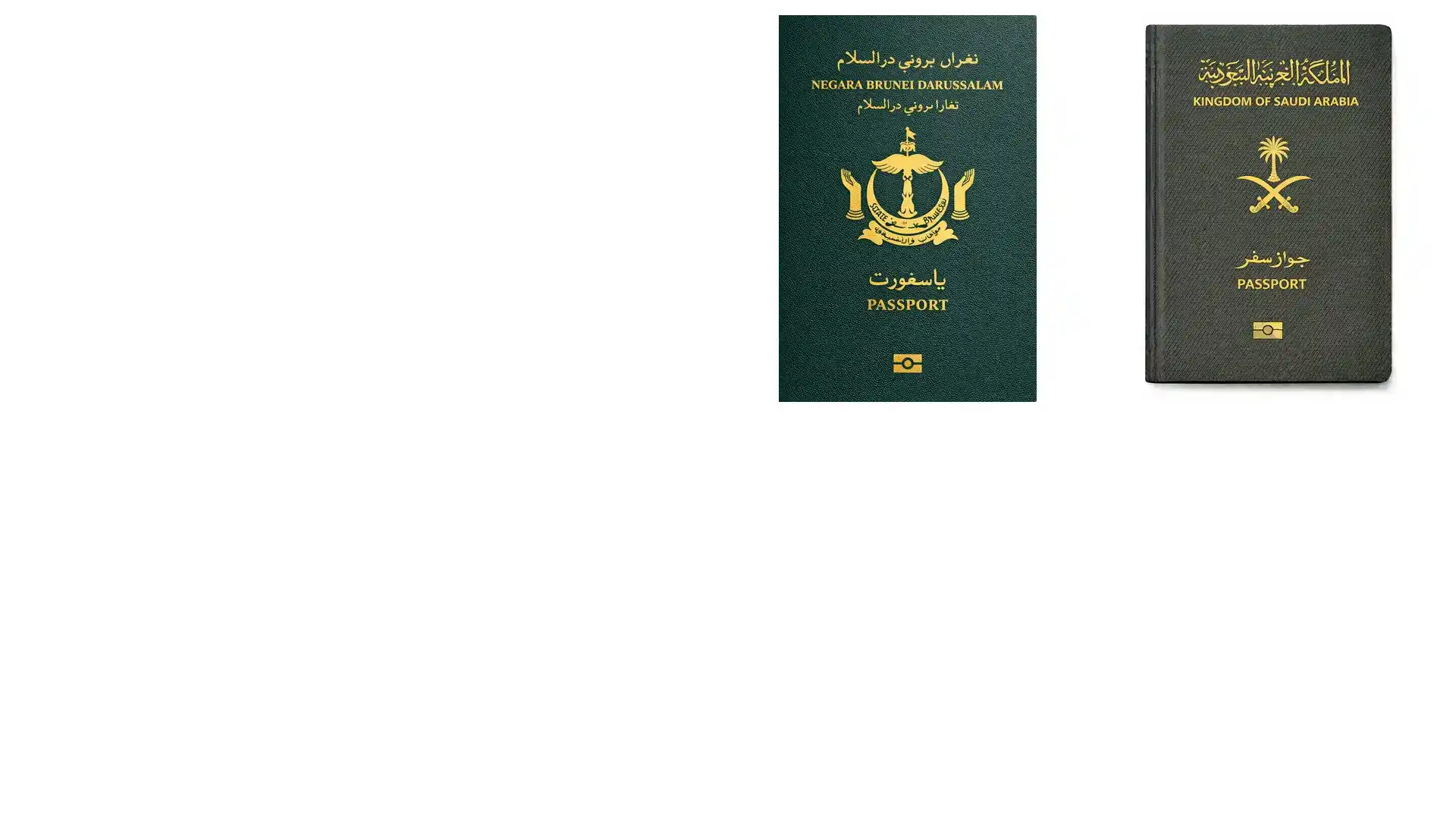 意大利无犯罪证明海牙认证：国内办理全流程