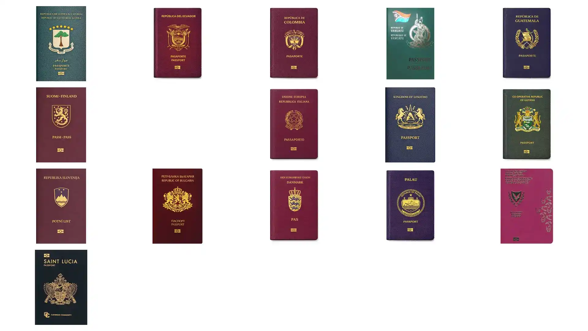 瑙鲁护照移民费用：政府申请费