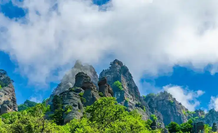 圣基茨护照免签160个国家及地区：护照优势解析