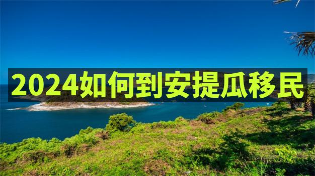 安提瓜移民后顺利开展商业活动并享受政策优惠的方式