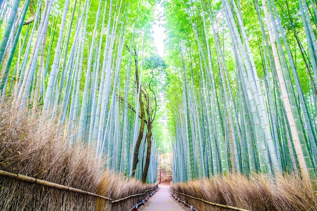 日本移民