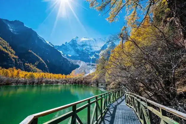 罗马尼亚数字游民签证税收优惠：前6个月免税，超183天需申报