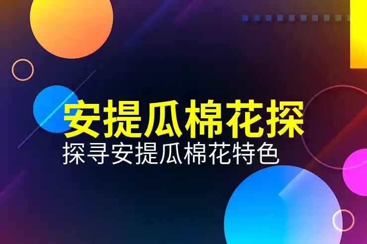 政策要点？多米尼克看这篇就够了