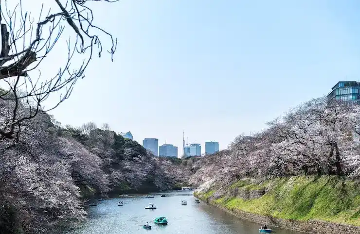 2025年法国热门的投资移民获得法国护照？