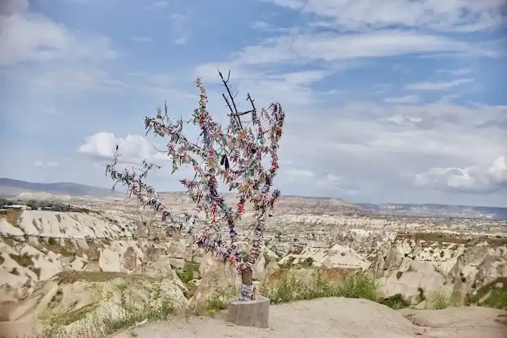 避免购房合同的隐形陷阱，土耳其移民避坑指南