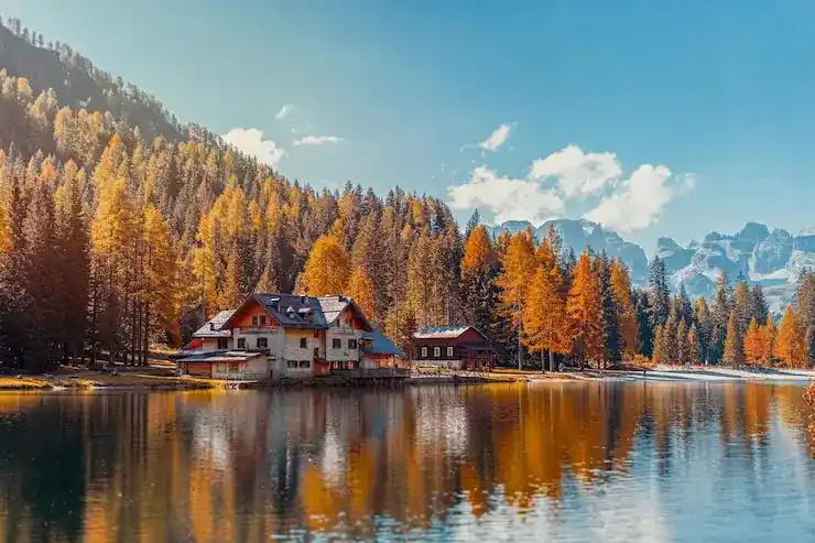 加密货币投资能否用于满足格林纳达移民的资金要求？