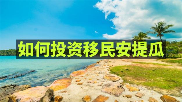 移民到安提瓜后参与当地社区活动和融入社交圈子的方法