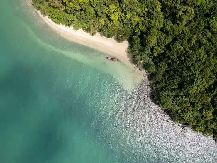 申请新加坡EP自雇移民，公司需满足什么运营要求？