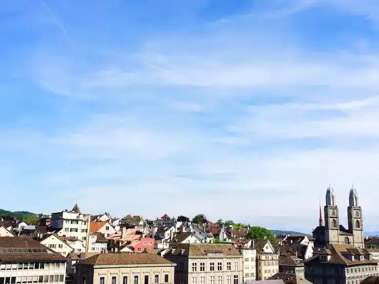 芬兰移民申请的受理机构是什么？Enter Finland 线上系统的审批时效有何规定？