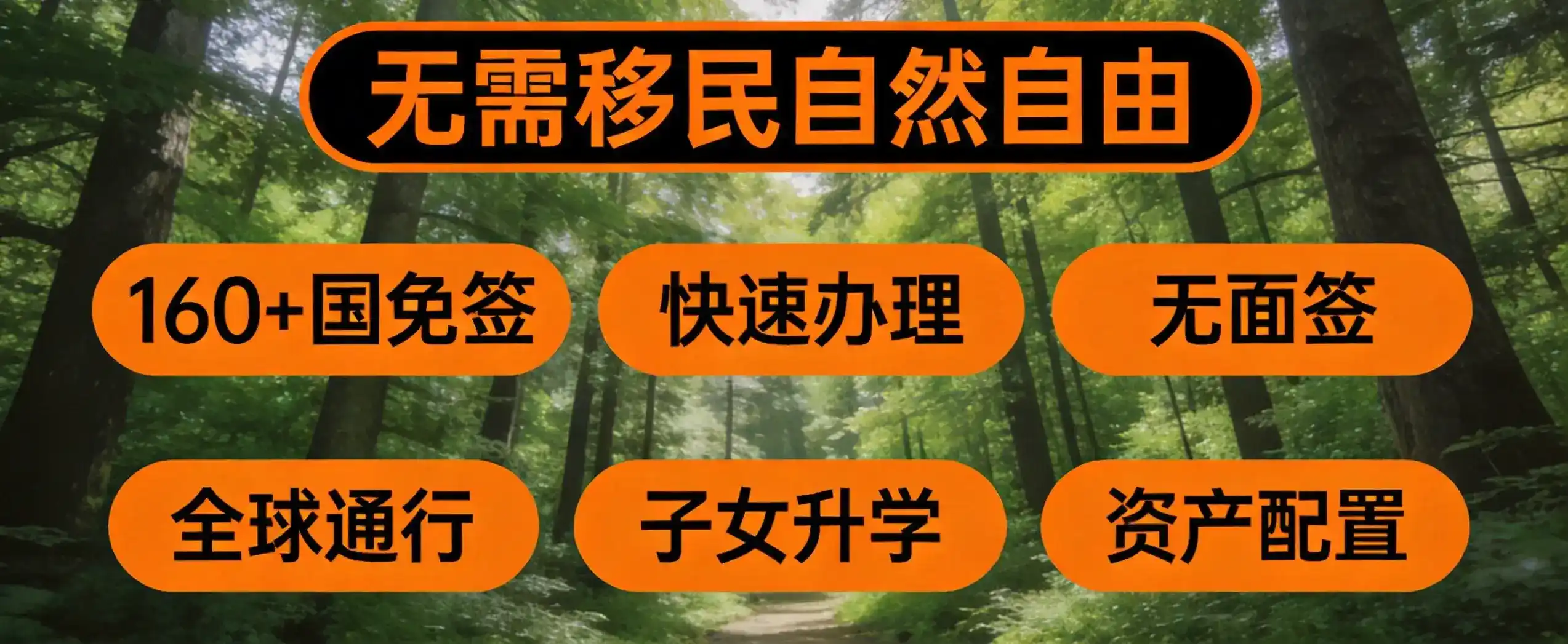 土耳其2026年移民政策如何简化投资移民流程？