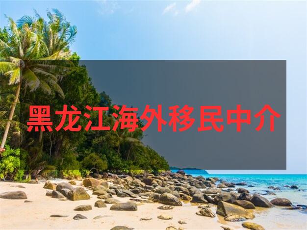 如何在澳大利亚移民局官网中文版下载申请表格？