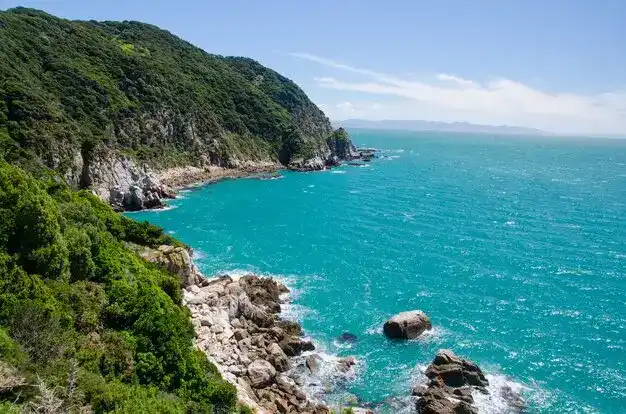 瑙鲁优惠期结束后涨价多少？新旧移民费用对比测算