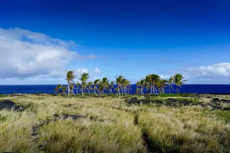 圣卢西亚护照移民费用：需医生证明