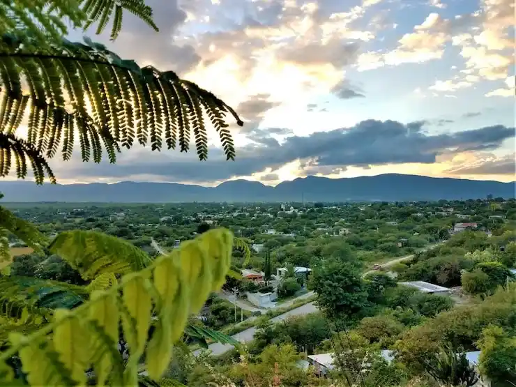 圣基茨房产移民律师产权审查服务