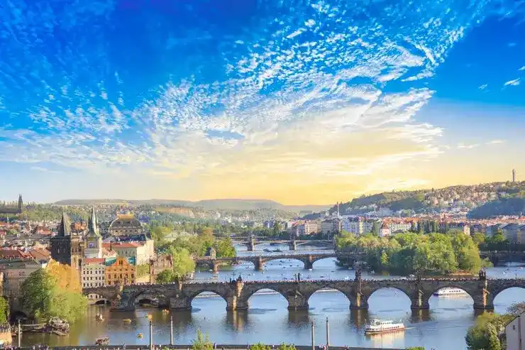 新西兰创业居留持有者在经营活动中有哪些权利支持？