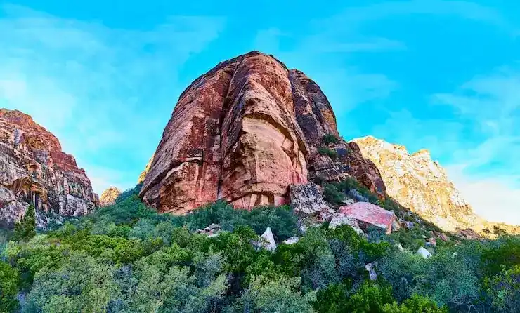 圣卢西亚移民申请的文件翻译必须由官方认可机构完成吗？