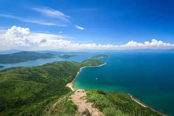 申请人如何查询挪威移民申请的实时进度？官方查询渠道是什么？