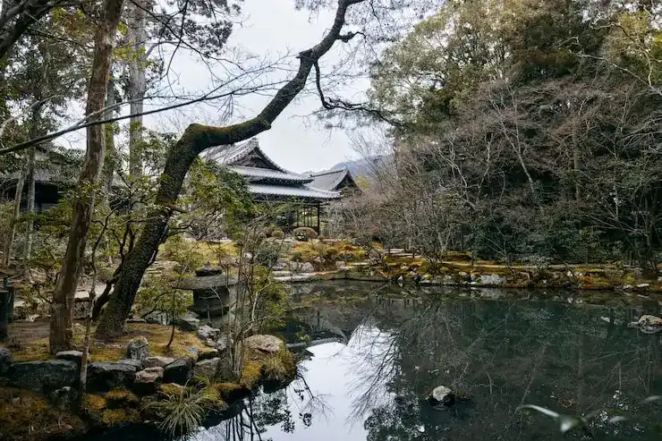 移民