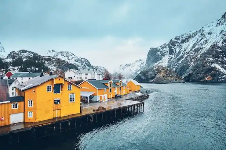 瓦努阿图移民办理公司热线：移民咨询与申请步骤