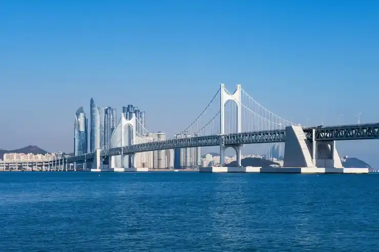 香港优才行业避坑，如何避免冷门行业的申请技巧影响分数计算？