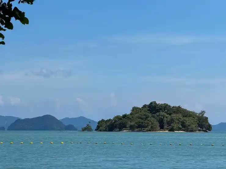 瓦努阿图移民背景调查要求详解（2026最新版）｜亚太环球权威解读