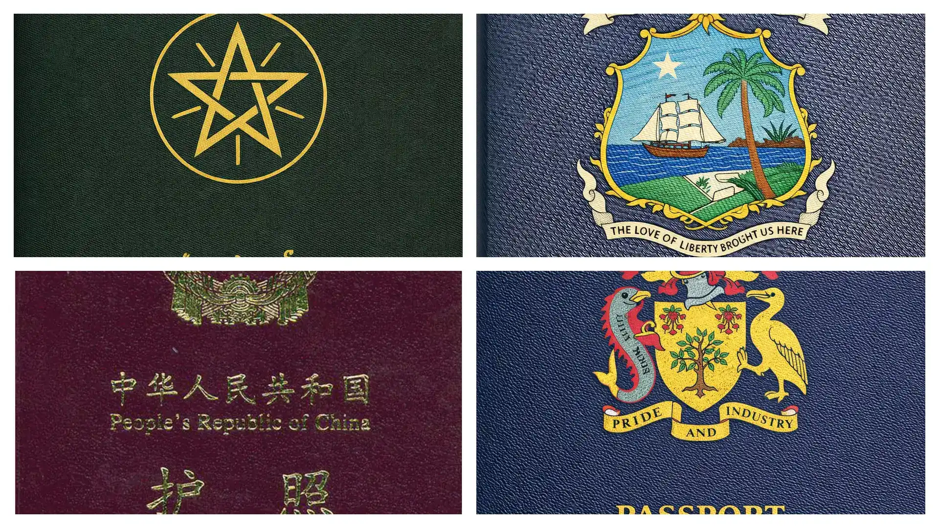 日本移民费用预算参考：一人公司vs实体经营总投入