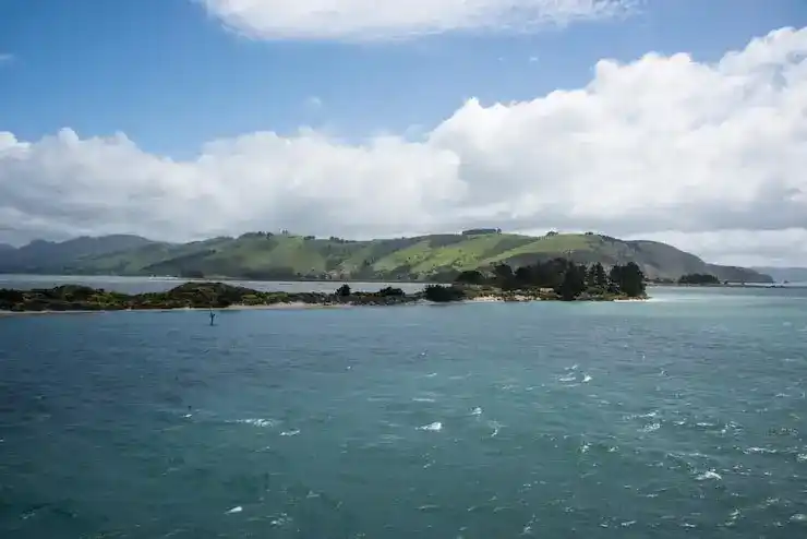 选择圣卢西亚企业投资入籍，如何制定商业计划并选择合适行业？