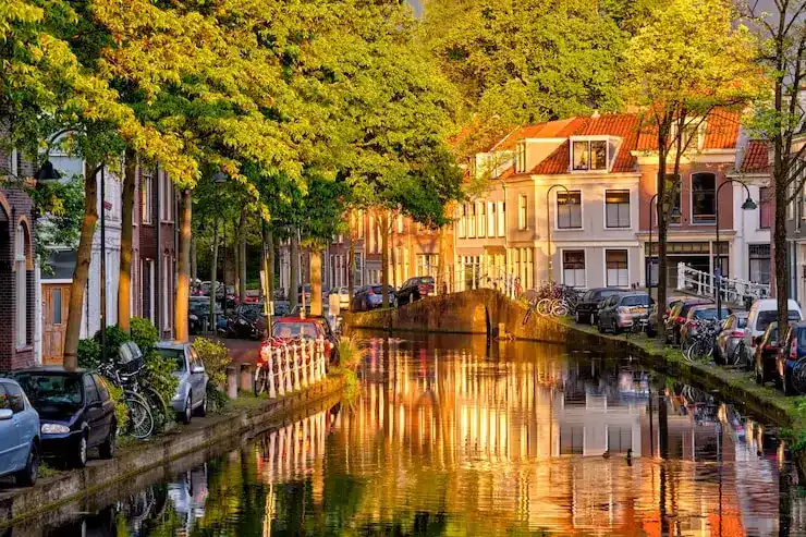 马绍尔移民的完整申请流程分为哪些关键步骤？