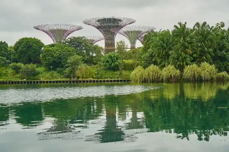 新加坡家族办公室的投资款被挪用的风险如何防范？