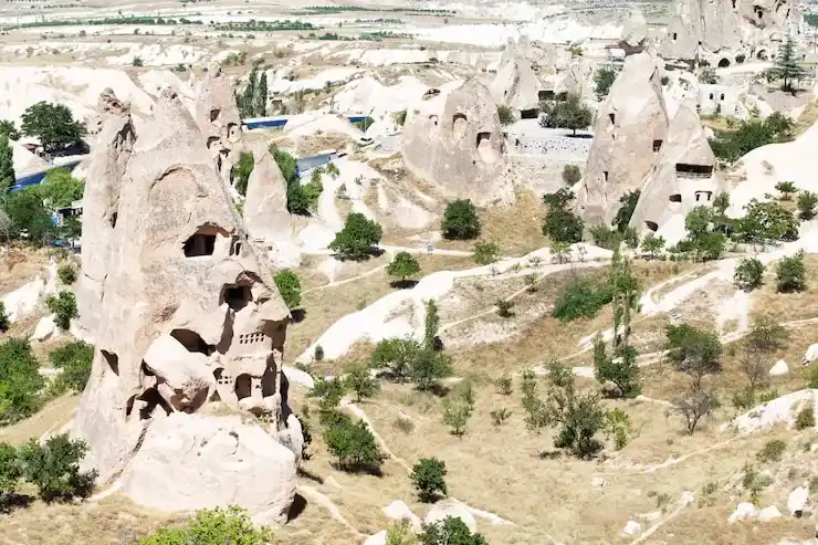 土耳其存款移民