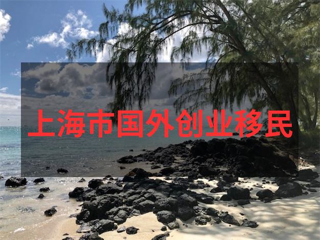 土耳其移民社区伊斯坦布尔华人聚集区的换汇点（附地址）