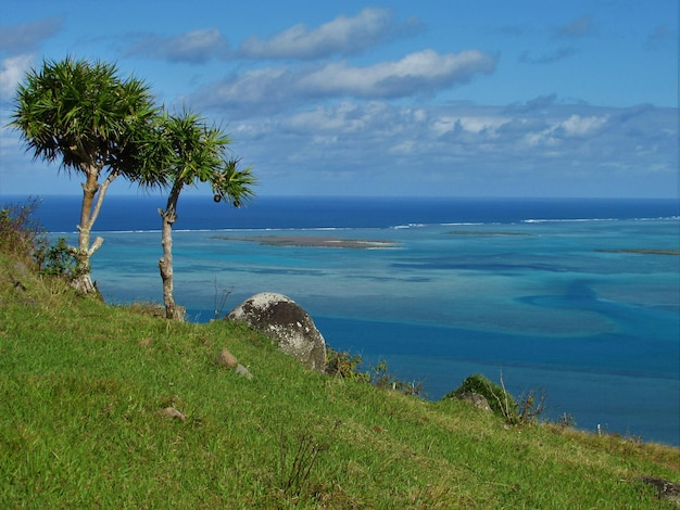 瓦努阿图公民身份Vanuatu citizenship带来的税务变化解析