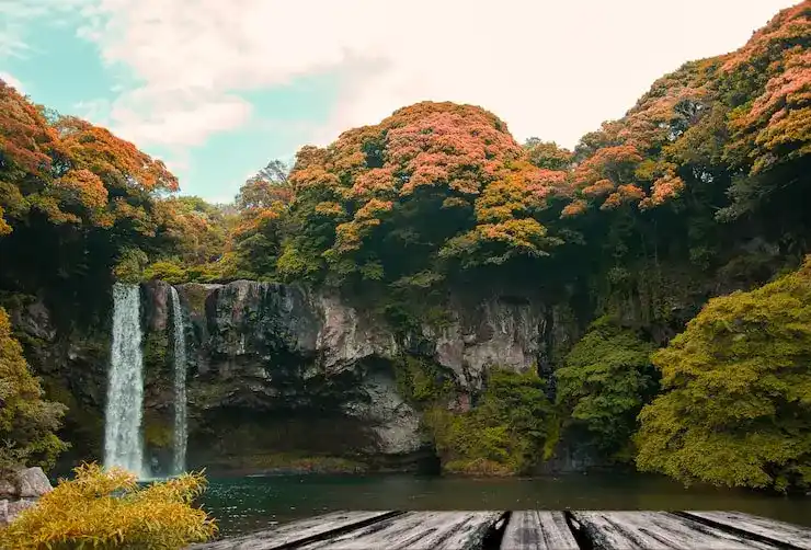 投资移民