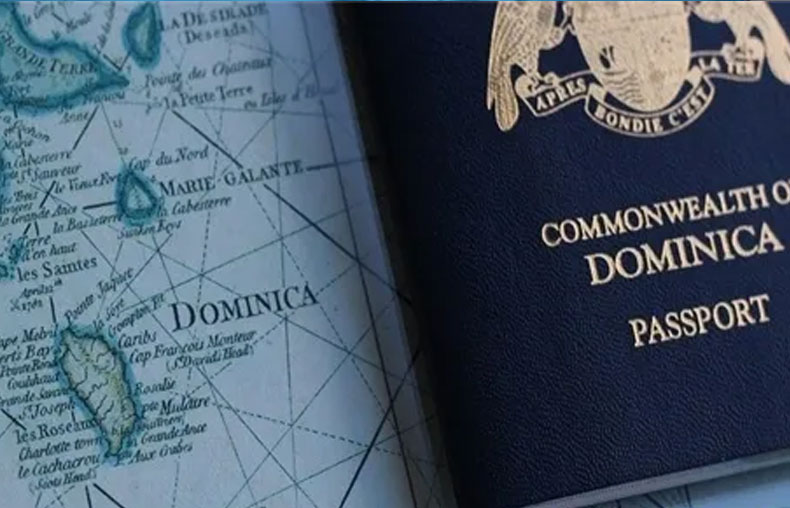 多米尼克护照改名有什么用？看D总如何用多米尼克护照来做身份隔离？