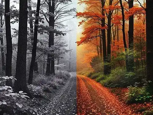 圣卢西亚移民办