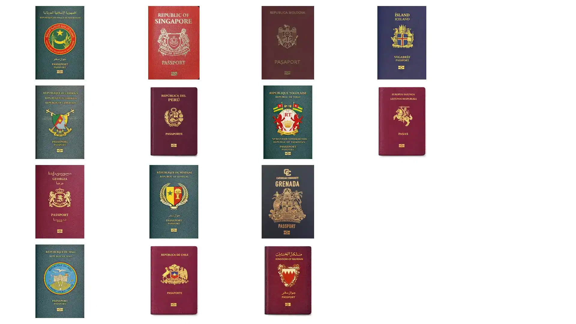 从申请到获批全流程：最简单的移民项目操作指南