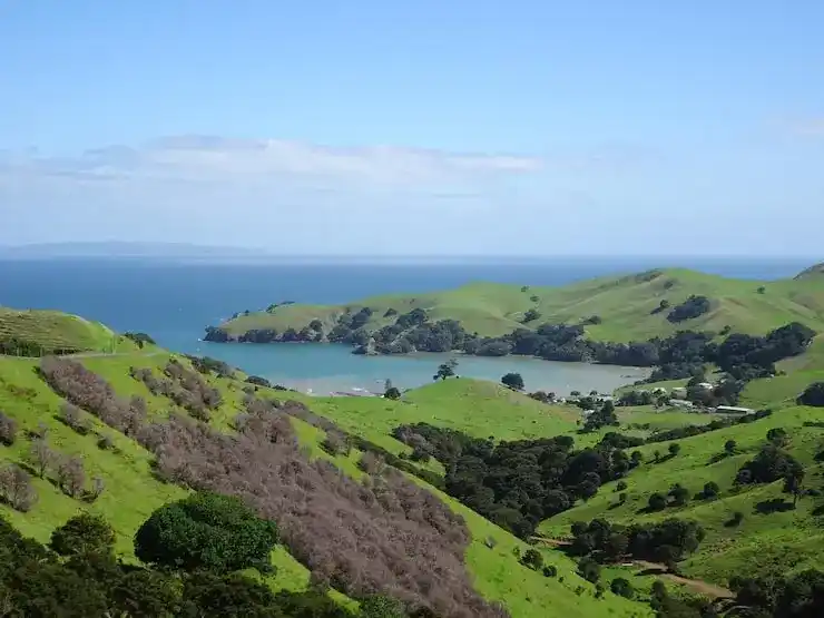 圣卢西亚移民政策解读申请条件与优势